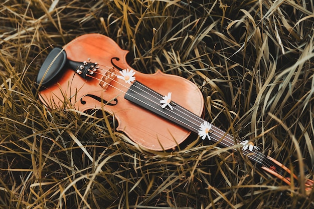Beautiful violin lies on the grass with flowers. High quality photo