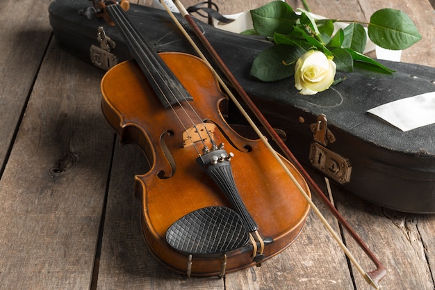 Beautiful violin