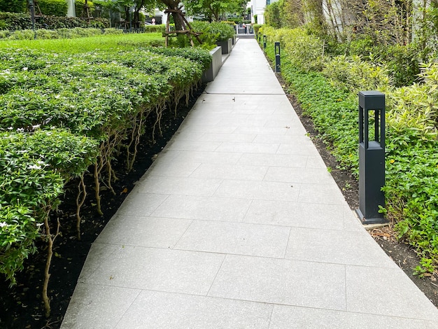 Beautiful walkway in the garden with trees