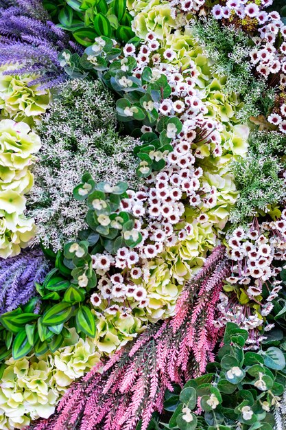 Beautiful wall different color flowers