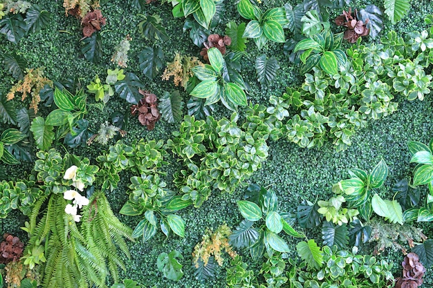 Фото Красивая стена искусственного цветка и листья для украшения.
