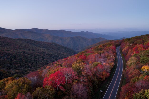 写真 あなたのための美しい壁紙