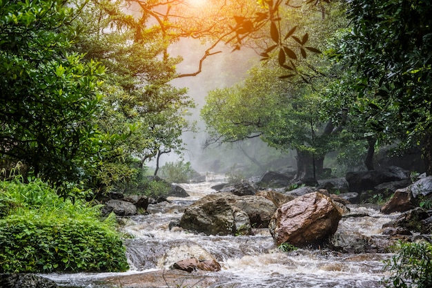 красивая вода падает на скалу