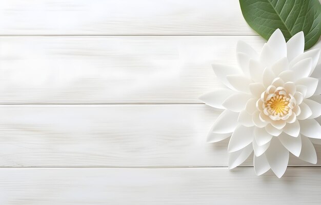 beautiful water lilly lotus flower on white wooden table