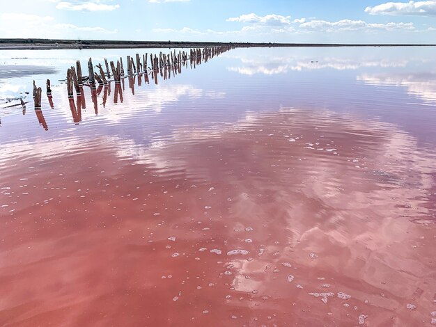 La bella acqua nel lago salato rosa riflette le nuvole e il cielo