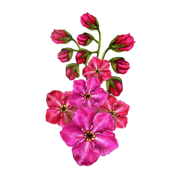 イースターの結婚式のためにヴィニエットの形で作られたピンクの忘れ物の美しい水彩の花束