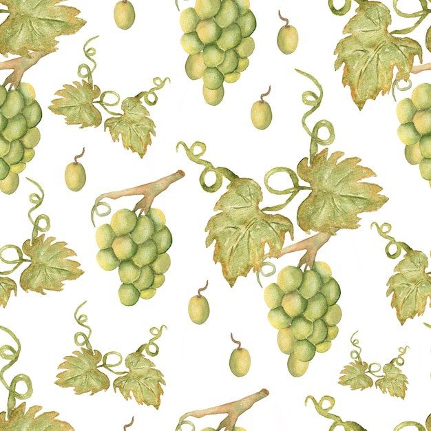 Beautiful watercolor hand drawn seamless green and yellow pattern with grapes branches and leaves.