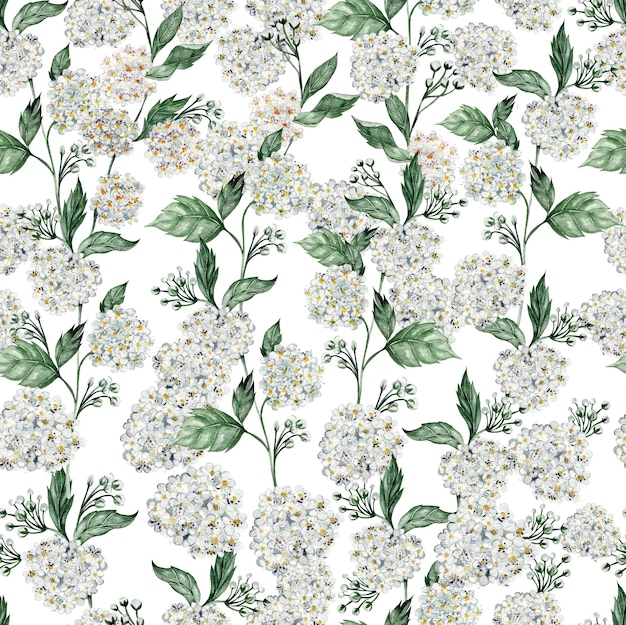 spirea 꽃과 아름 다운 수채화 완벽 한 패턴입니다. 삽화