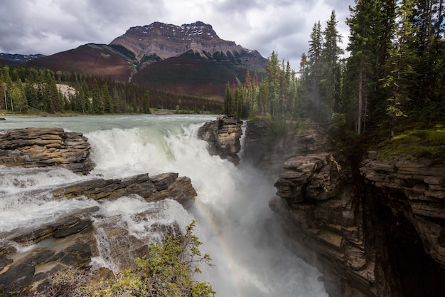 カナダの山々の美しい滝