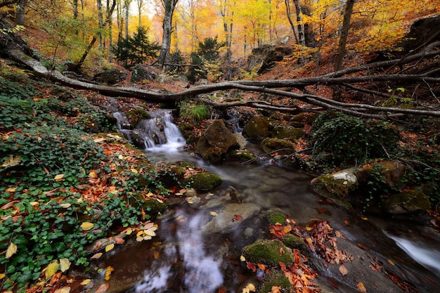 Beautiful waterfall at colorful autumn forest