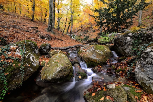 Foto bella cascata nella foresta autunnale colorata