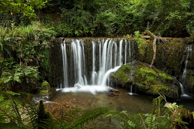 Beautiful waterfall in a forest in Galicia, Spain, known by the name of San Pedro de Incio.