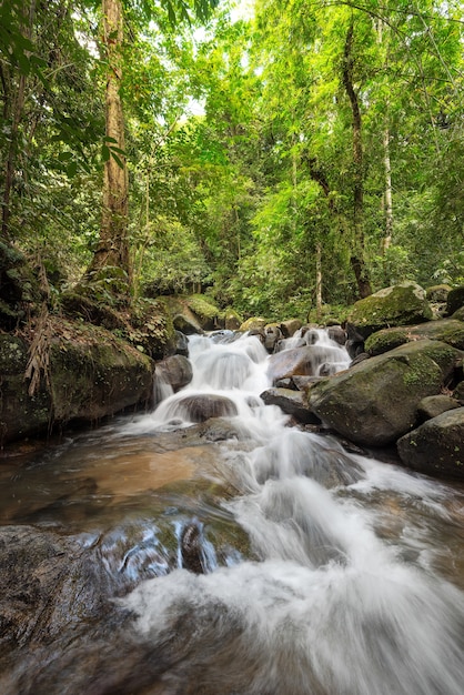 Beautiful waterfall in forest landscape