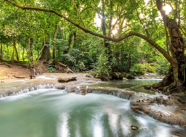 beautiful waterfall in the forest. Tropical and landscape. Travel and vacation at Thailand.