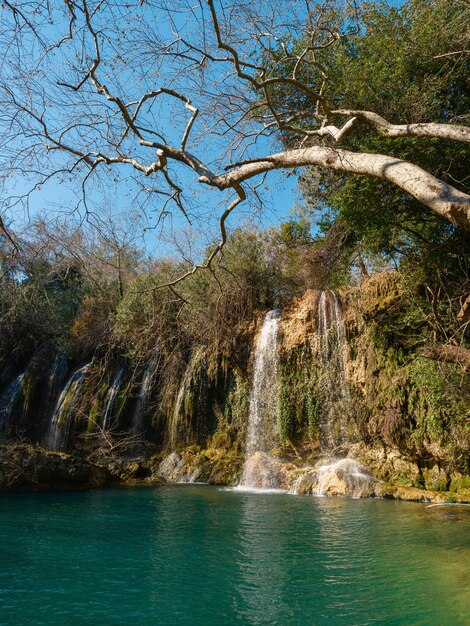 Beautiful waterfall in the forest