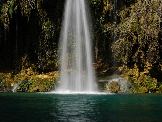 Foto bellissima cascata nella foresta