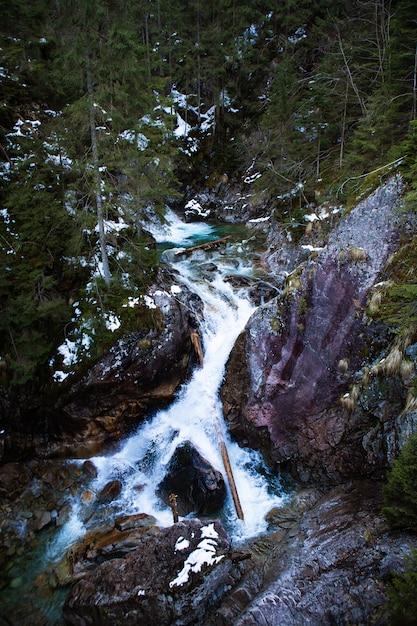 Красивый водопад и лес