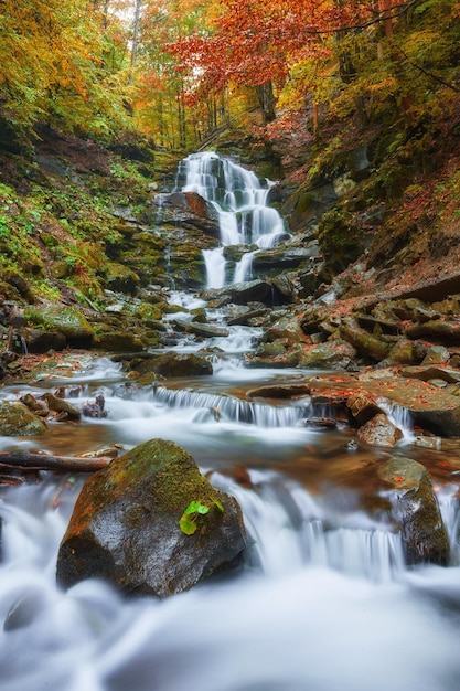 Beautiful waterfall in forest