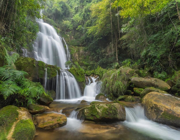 Beautiful waterfall in green forest in jungle