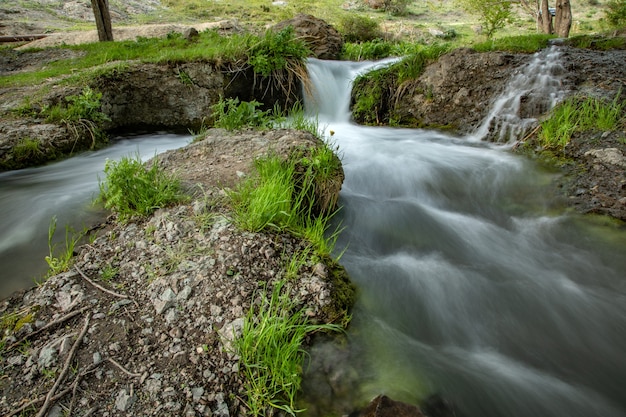 Красивый водопад в зеленом лесу