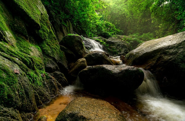 Beautiful waterfall in jungle. Waterfall in tropical forest with green tree and sunlight