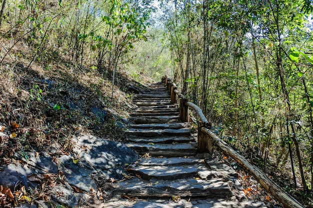 写真 メーピン国立公園、李地区、タイのランプーンで美しい滝コールアン滝