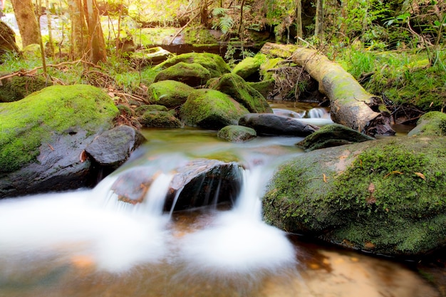 Beautiful waterfall landscape. 