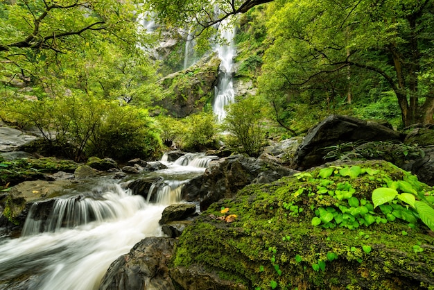 Photo beautiful waterfall in the national park forest