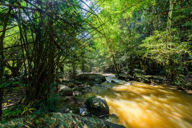 Beautiful waterfall in natural 