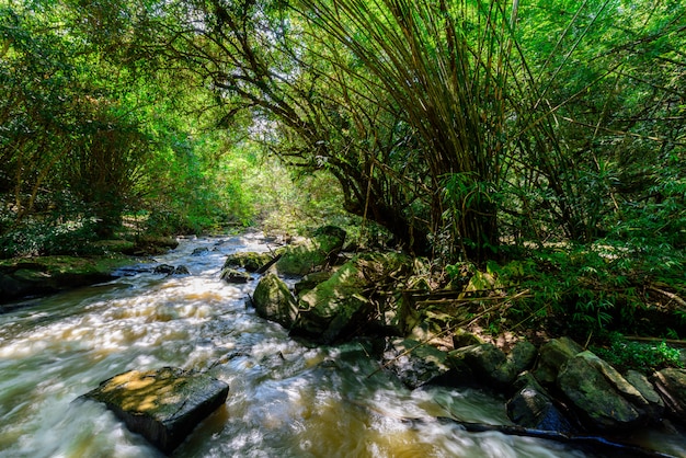 Beautiful waterfall in natural 