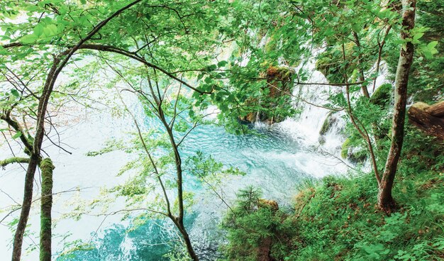 Красивый водопад в летний зеленый лес.