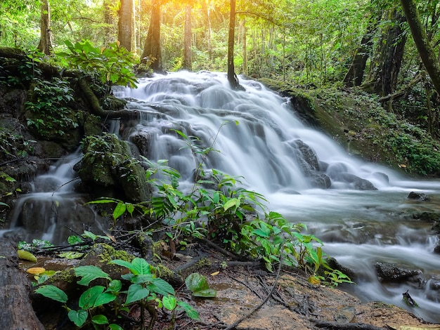 Beautiful waterfall in tropical forest at National Park 