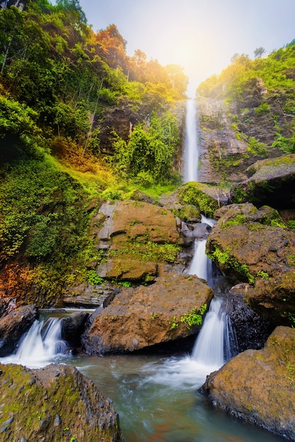 Beautiful waterfall in tropical forest