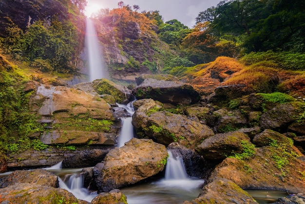 Beautiful waterfall in tropical forest