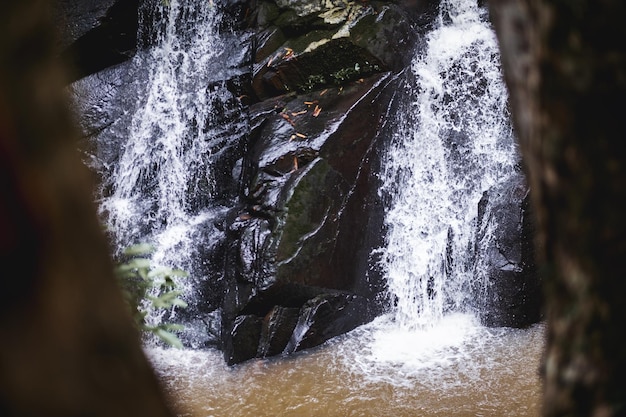 Una bellissima cascata nella giungla tropicale