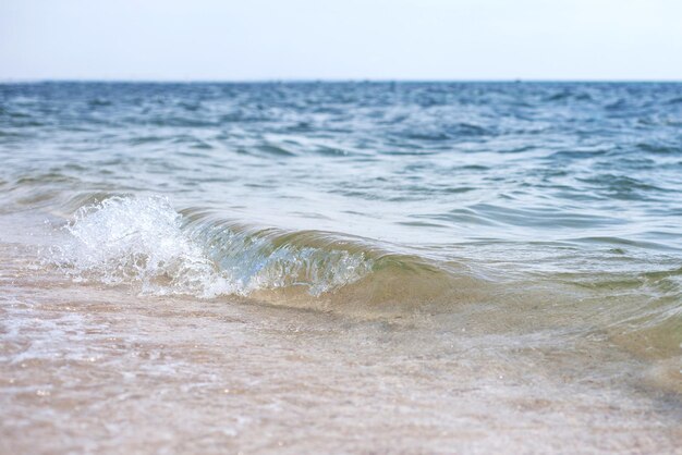 青い海岸近くの美しい波