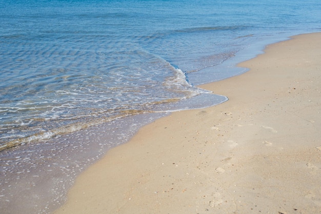 海や海からのビーチの美しい波