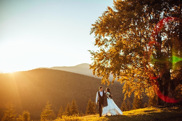 山の背景に恋をしている美しい結婚式のカップルの新郎新婦美しいスーツを着た新郎と白い豪華なドレスを着た花嫁結婚式のカップルが歩いています