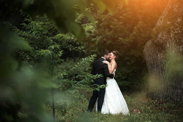 公園でお互いの腕の中で美しい結婚式のカップル