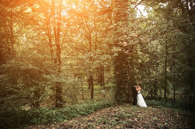 Красивая свадебная пара позирует в лесу