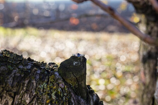 Beautiful wedding ring with white gold and a large blue stone on wood