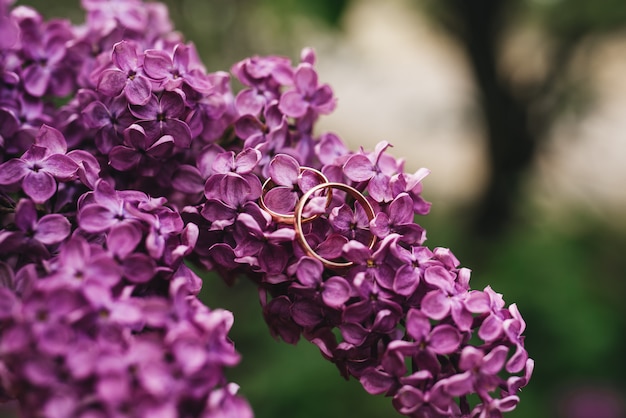 Beautiful wedding rings on a background of lilac