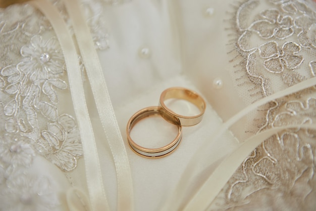 Beautiful wedding rings lie on the bride's veil