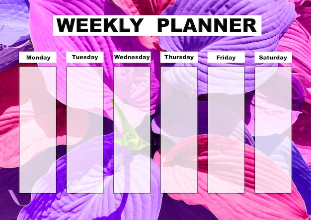 Photo beautiful weekly planner school timetable education can be used as an organizer or calendar