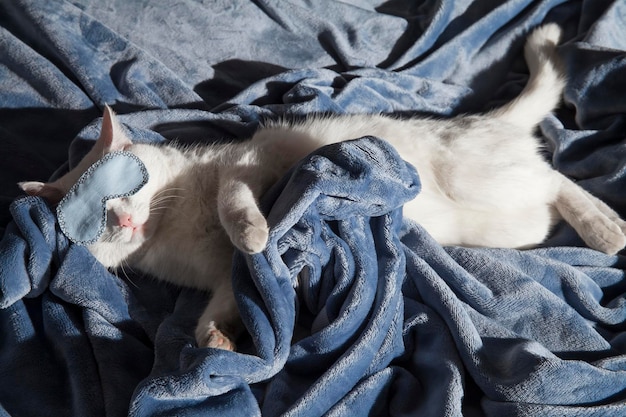 Beautiful white cat sleeps in a mask on a plush blanket