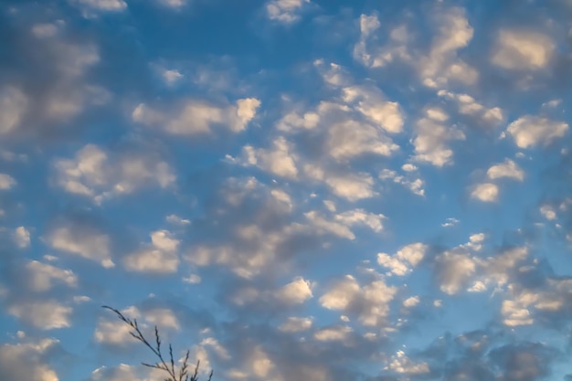 自然の中で夕日に美しい白い雲