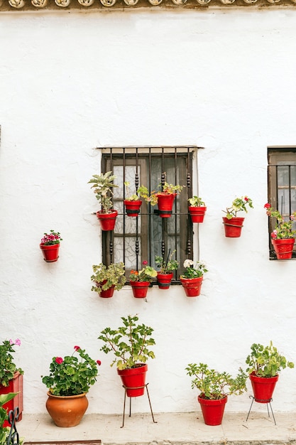 사진 붉은 점토 화분에 식물이 있는 스페인의 전형적인 안달루시아 주택의 아름다운 흰색 외관