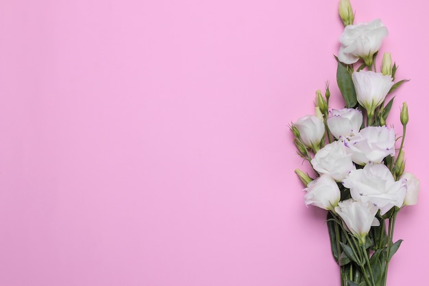 Beautiful white flowers eustoma bouquet on bright pink background top view with place for inscription