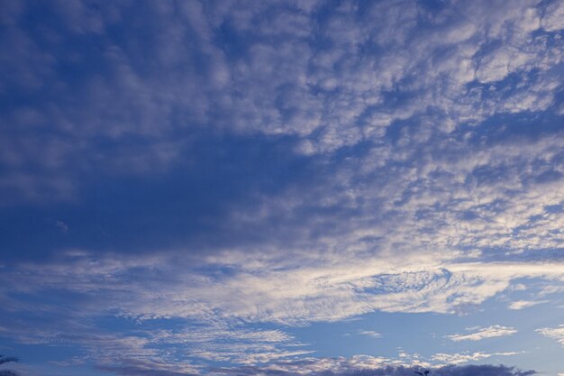 Bello fondo del cielo delle nuvole lanuginose bianche con il fondo del cielo blu