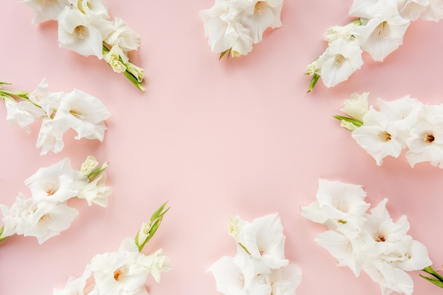 Beautiful white gladioluses on pink background Pattern of gladioli with space for your text holiday